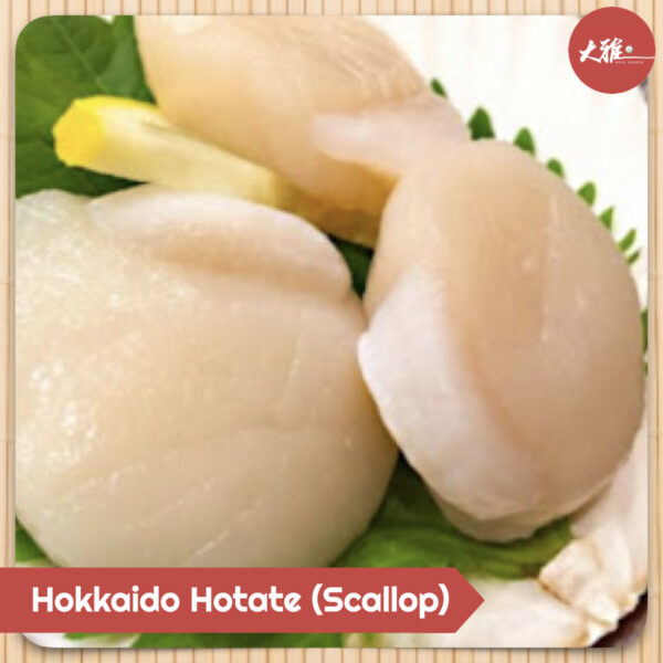 Hokkaido Hotate (Scallop)